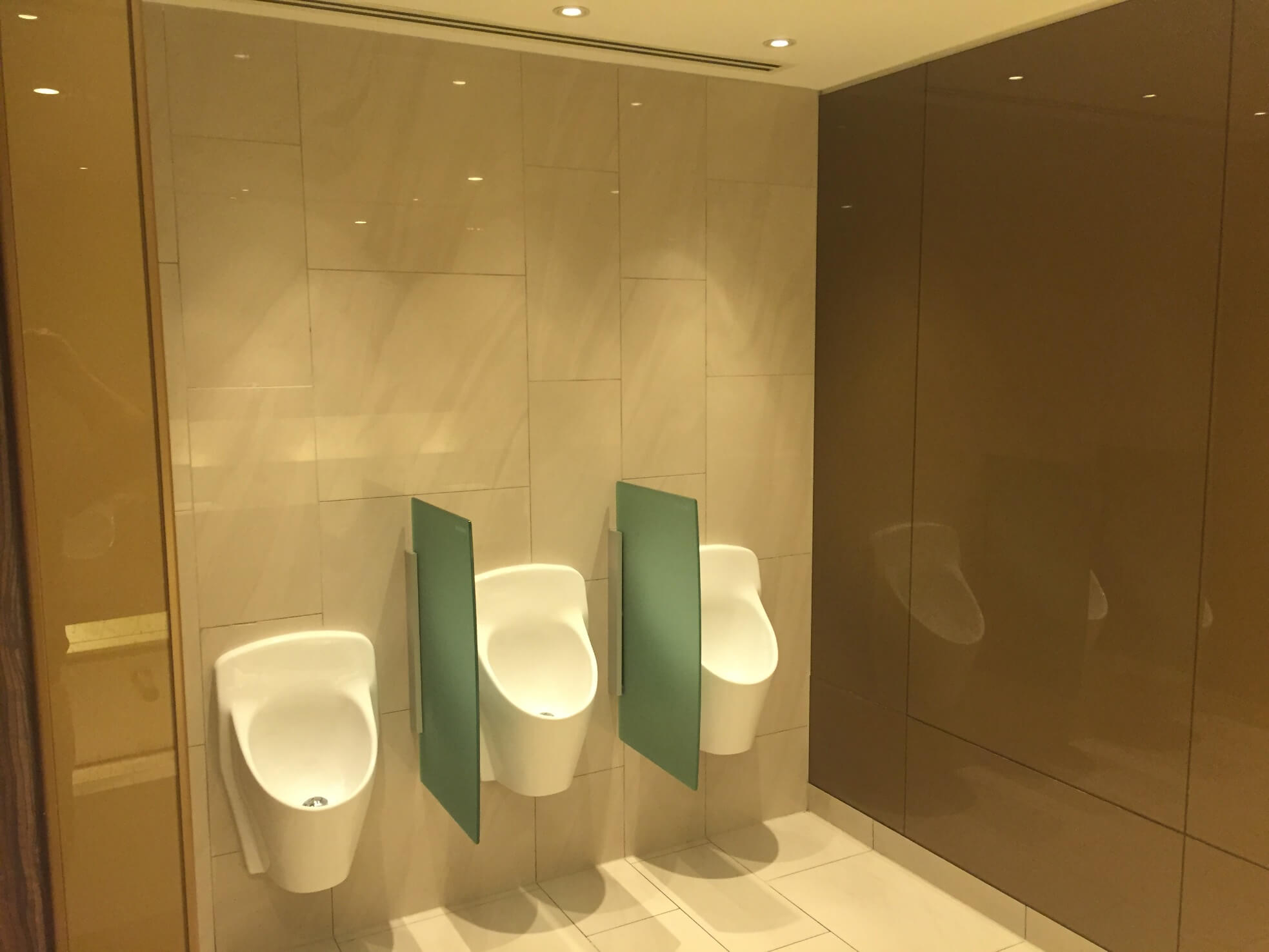 Complete Toilet Refurbishment